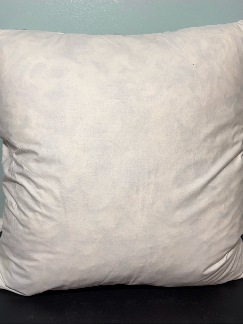 Plain White Decorative Pillow Insert 18X18